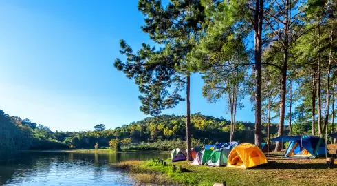 Muğla Kamp Alanları