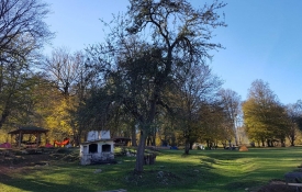 Dolunayda Kamp