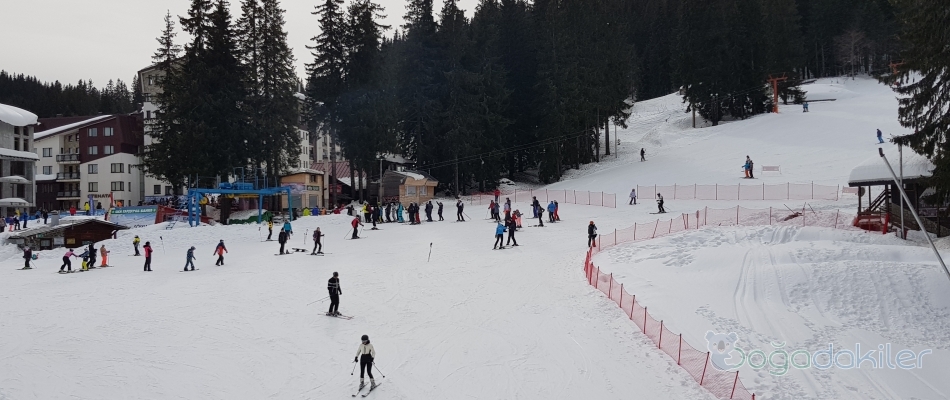 Erciyes Kayak Etkinliği