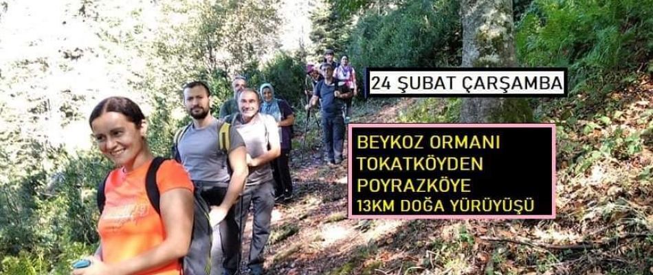 BEYKOZ TOKATKÖYDEN POYRAZKÖYE DOĞA YÜRÜYÜŞÜ VE SUCUK MANGAL