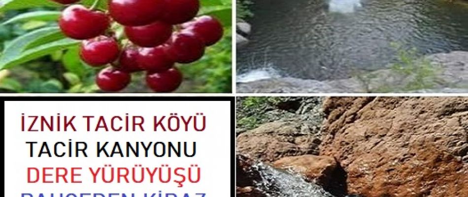 İZNİK TACİR KÖYÜ KANYON YÜRÜYÜŞÜ VE KİRAZ ETKİNLİĞİ