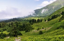  ARTVİN YAYLALARINDA KAMP VE KARÇAL DAĞI (3428 m.) ZİRVE