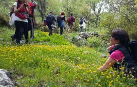 LİKYA YOLU YÜRÜYÜŞÜ-11 2024 BAHAR PARKURU