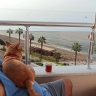 Atilla Levent